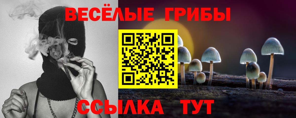 Псилоцибиновые грибы прущие грибы  Вход с VPN  Камень-на-Оби  Псилоцибиновые грибы MAGIC MUSHROOMS 
